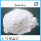 CAS 71010-52-1 গিলান গাম পাউডার উচ্চ Acyl / নিম্ন অ্যাসিড খাদ্য গ্রেড ডেইরি উত্পাদনের